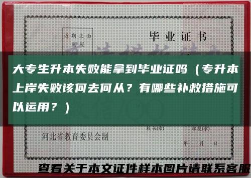 大专生升本失败能拿到毕业证吗（专升本上岸失败该何去何从？有哪些补救措施可以运用？）缩略图