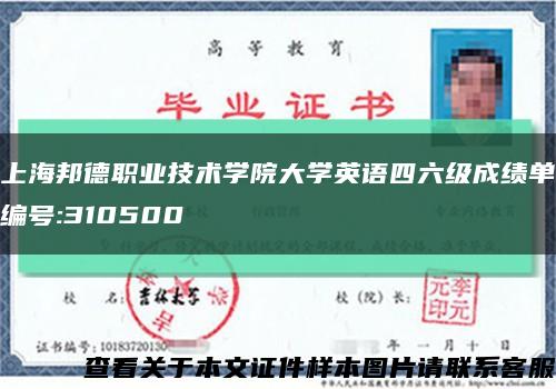 上海邦德职业技术学院大学英语四六级成绩单编号:310500缩略图