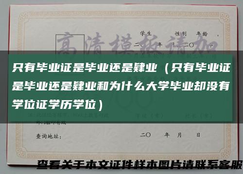 只有毕业证是毕业还是肄业（只有毕业证是毕业还是肄业和为什么大学毕业却没有学位证学历学位）缩略图