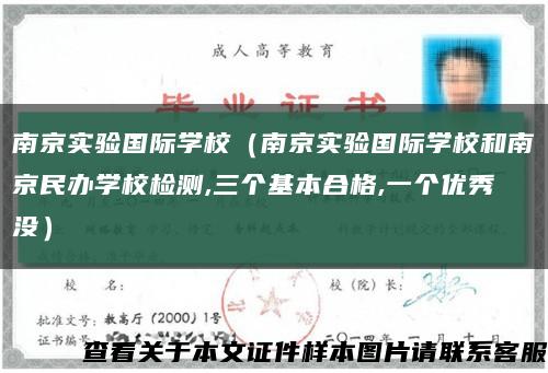 南京实验国际学校（南京实验国际学校和南京民办学校检测,三个基本合格,一个优秀没）缩略图
