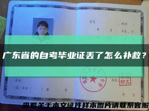 广东省的自考毕业证丢了怎么补救？缩略图