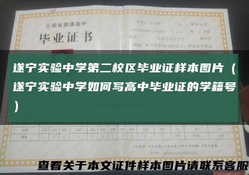遂宁实验中学第二校区毕业证样本图片（遂宁实验中学如何写高中毕业证的学籍号）缩略图