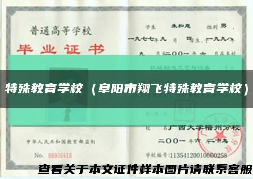 特殊教育学校（阜阳市翔飞特殊教育学校）缩略图