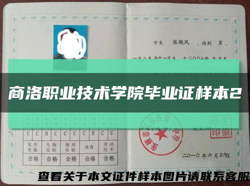 商洛职业技术学院毕业证样本2缩略图