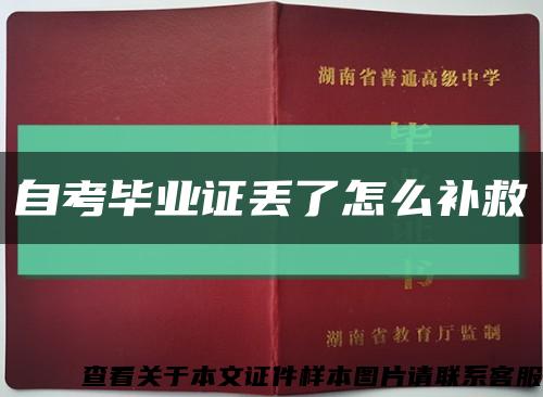 自考毕业证丢了怎么补救缩略图