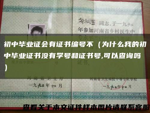 初中毕业证会有证书编号不（为什么我的初中毕业证书没有学号和证书号,可以查询吗）缩略图