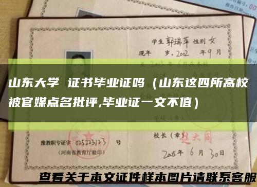 山东大学 证书毕业证吗（山东这四所高校被官媒点名批评,毕业证一文不值）缩略图