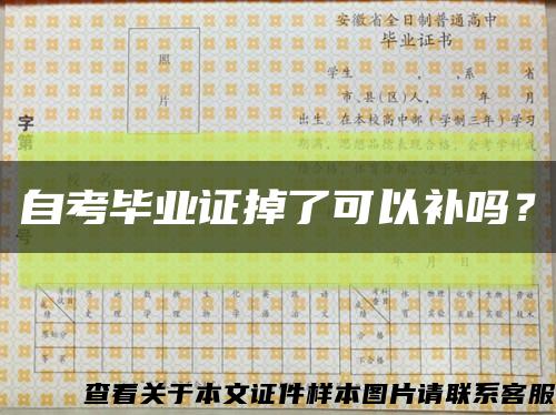 自考毕业证掉了可以补吗？缩略图