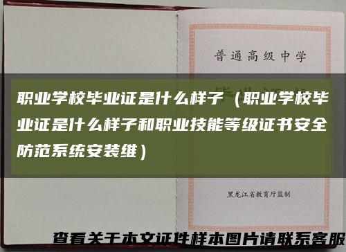 职业学校毕业证是什么样子（职业学校毕业证是什么样子和职业技能等级证书安全防范系统安装维）缩略图