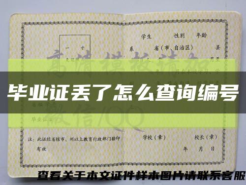 毕业证丢了怎么查询编号缩略图