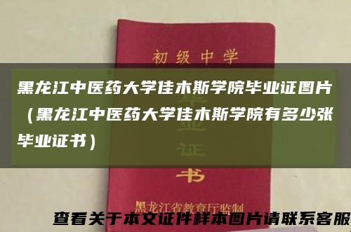 黑龙江中医药大学佳木斯学院毕业证图片（黑龙江中医药大学佳木斯学院有多少张毕业证书）缩略图