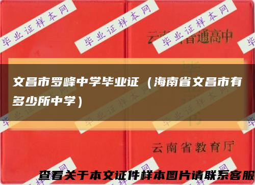 文昌市罗峰中学毕业证（海南省文昌市有多少所中学）缩略图