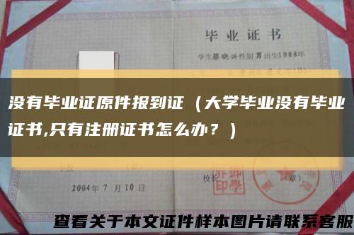 没有毕业证原件报到证（大学毕业没有毕业证书,只有注册证书怎么办？）缩略图
