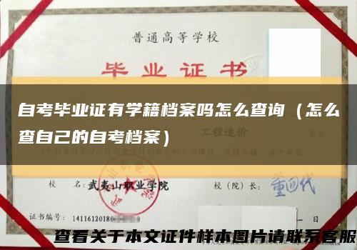 自考毕业证有学籍档案吗怎么查询（怎么查自己的自考档案）缩略图