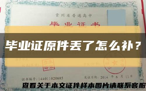 毕业证原件丢了怎么补？缩略图