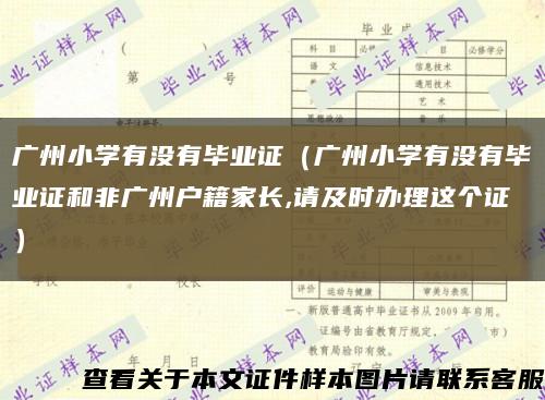 广州小学有没有毕业证（广州小学有没有毕业证和非广州户籍家长,请及时办理这个证）缩略图