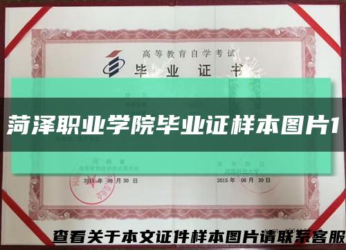 菏泽职业学院毕业证样本图片1缩略图