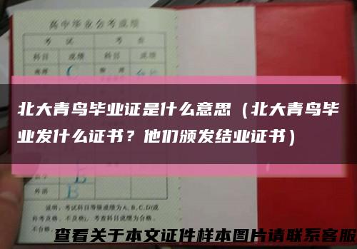 北大青鸟毕业证是什么意思（北大青鸟毕业发什么证书？他们颁发结业证书）缩略图