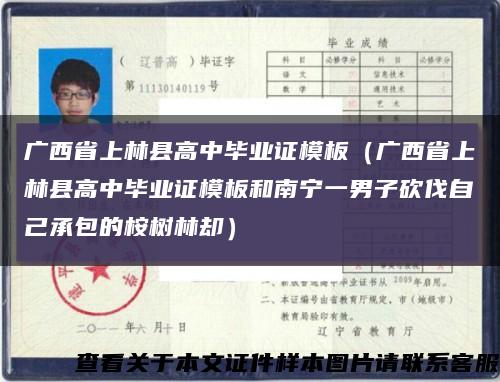 广西省上林县高中毕业证模板（广西省上林县高中毕业证模板和南宁一男子砍伐自己承包的桉树林却）缩略图