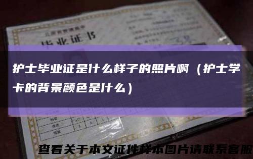护士毕业证是什么样子的照片啊（护士学卡的背景颜色是什么）缩略图