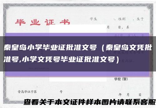 秦皇岛小学毕业证批准文号（秦皇岛文凭批准号,小学文凭号毕业证批准文号）缩略图