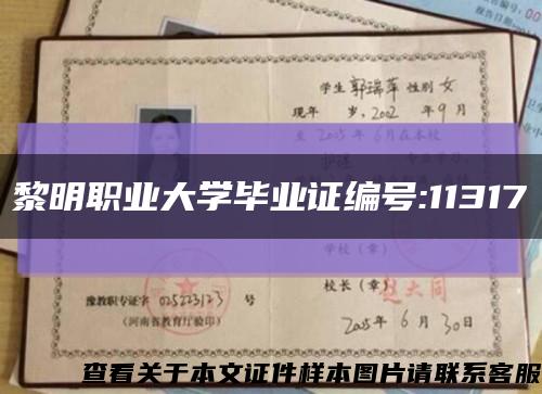 黎明职业大学毕业证编号:11317缩略图