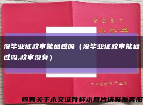 没毕业证政审能通过吗（没毕业证政审能通过吗,政审没有）缩略图