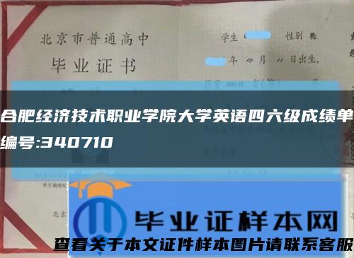 合肥经济技术职业学院大学英语四六级成绩单编号:340710缩略图