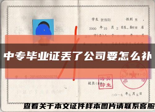 中专毕业证丢了公司要怎么补缩略图