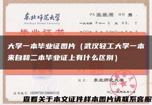 大学一本毕业证图片（武汉轻工大学一本来自和二本毕业证上有什么区别）缩略图