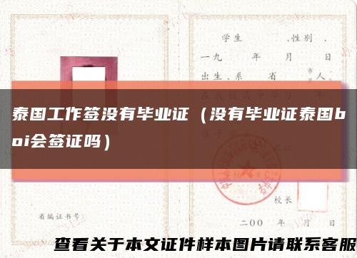 泰国工作签没有毕业证（没有毕业证泰国boi会签证吗）缩略图