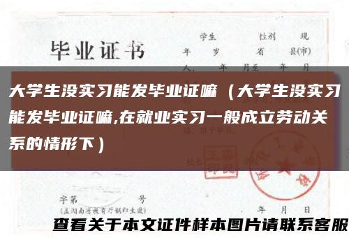 大学生没实习能发毕业证嘛（大学生没实习能发毕业证嘛,在就业实习一般成立劳动关系的情形下）缩略图