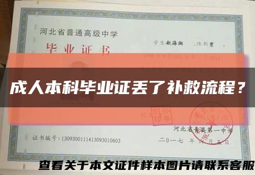 成人本科毕业证丢了补救流程？缩略图