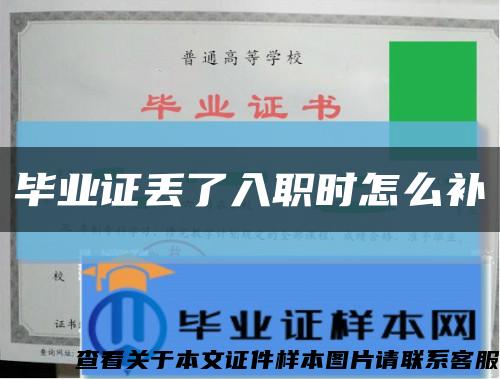 毕业证丢了入职时怎么补缩略图