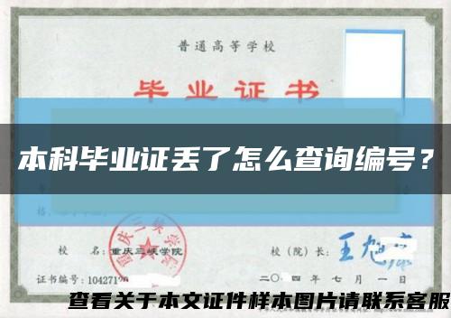 本科毕业证丢了怎么查询编号？缩略图