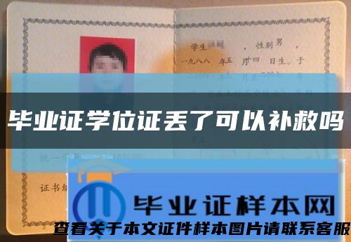 毕业证学位证丢了可以补救吗缩略图