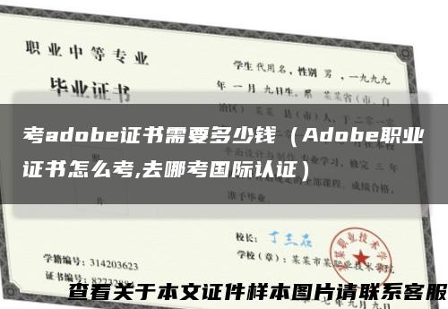 考adobe证书需要多少钱（Adobe职业证书怎么考,去哪考国际认证）缩略图