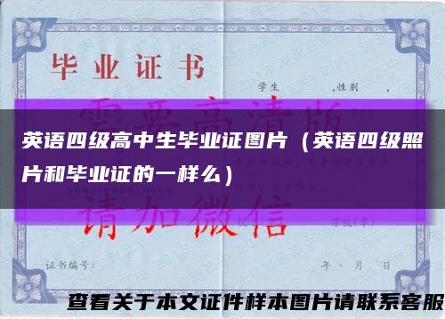 英语四级高中生毕业证图片（英语四级照片和毕业证的一样么）缩略图