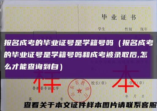 报名成考的毕业证号是学籍号吗（报名成考的毕业证号是学籍号吗和成考被录取后,怎么才能查询到自）缩略图