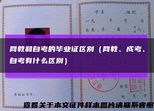 网教和自考的毕业证区别（网教、成考、自考有什么区别）缩略图