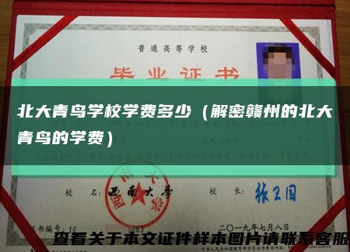 北大青鸟学校学费多少（解密赣州的北大青鸟的学费）缩略图