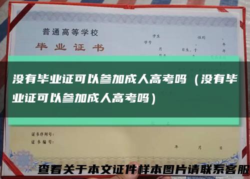 没有毕业证可以参加成人高考吗（没有毕业证可以参加成人高考吗）缩略图
