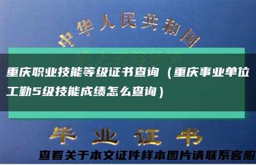 重庆职业技能等级证书查询（重庆事业单位工勤5级技能成绩怎么查询）缩略图