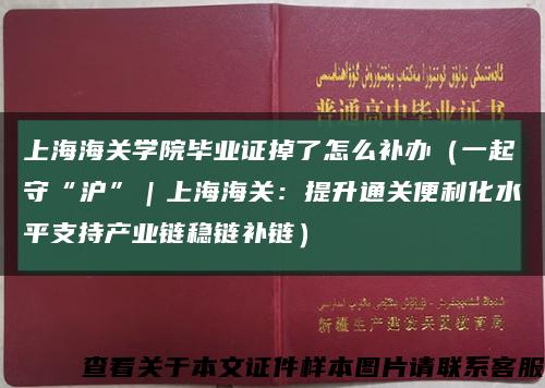 上海海关学院毕业证掉了怎么补办（一起守“沪”｜上海海关：提升通关便利化水平支持产业链稳链补链）缩略图