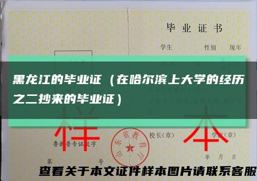 黑龙江的毕业证（在哈尔滨上大学的经历之二抄来的毕业证）缩略图