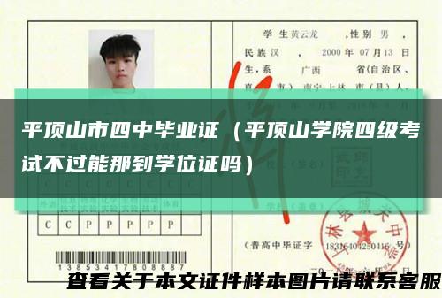 平顶山市四中毕业证（平顶山学院四级考试不过能那到学位证吗）缩略图