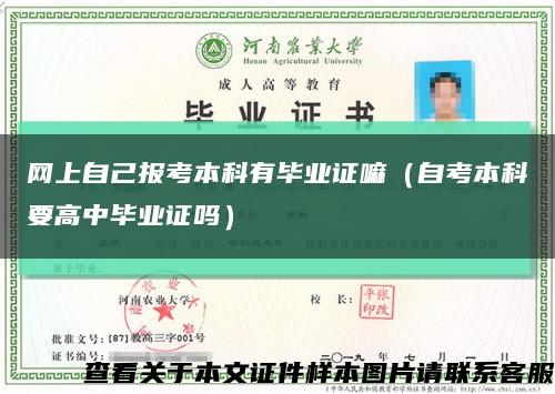 网上自己报考本科有毕业证嘛（自考本科要高中毕业证吗）缩略图