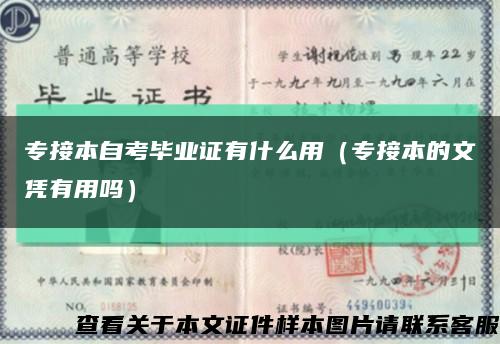 专接本自考毕业证有什么用（专接本的文凭有用吗）缩略图