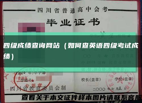 四级成绩查询网站（如何查英语四级考试成绩）缩略图