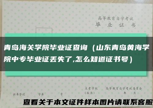 青岛海关学院毕业证查询（山东青岛黄海学院中专毕业证丢失了,怎么知道证书号）缩略图